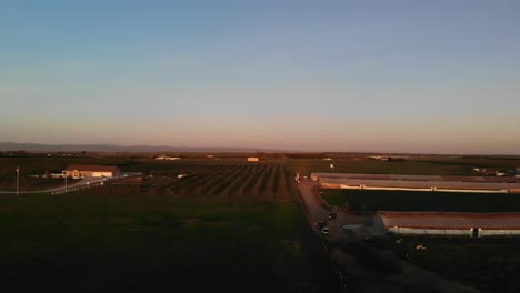 Kalifornische-Drohnen-Sonnenuntergangsfarm