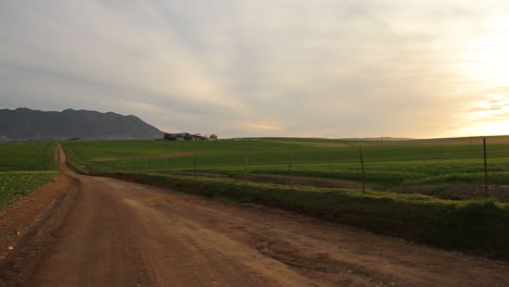 Farmlands-late-afternoon-in-the-Cape