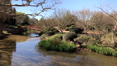 Slo-Pan-Von-Teich-Brücke-Zu-Brücke,-Ju-Raku-En-Japanischer-Garten,-Toowoomba-Australien
