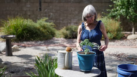 A-pretty-old-woman-with-gray-hair-gathering-her-gardening-tools-after-planting-a-tomato-plant-SLOW-MOTION
