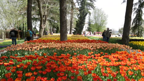 Gesamtansicht-Des-öffentlichen-Gartens-An-Einem-Frühlingstag-Neigt-Sich-Die-Kamera-Nach-Unten,-Während-Die-Besucher-Im-Hintergrund-Bilder-Für-Die-Blumen-Machen