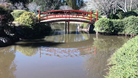 Tiro-Inclinado-Al-Puente-Rojo-Sobre-El-Estanque,-Ju-Raku-En-Jardín-Japonés,-Toowoomba,-Australia