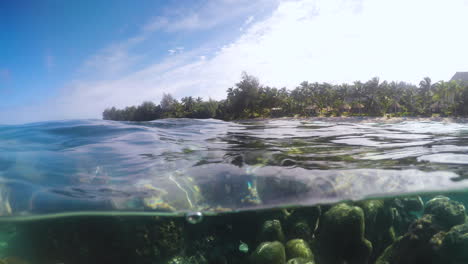 An-over-under-view-of-the-coral-reef-in-Rarotonga,-Cook-Islands