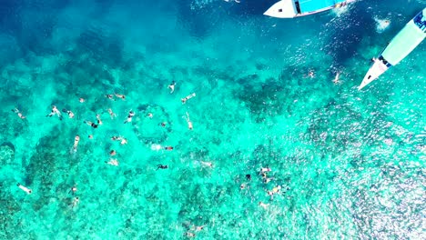Gruppe-Von-Touristen,-Die-Im-Vollkommen-Klaren-Wasser-Des-Korallenriffs-Von-Belize-Schwimmen-Und-Schnorcheln