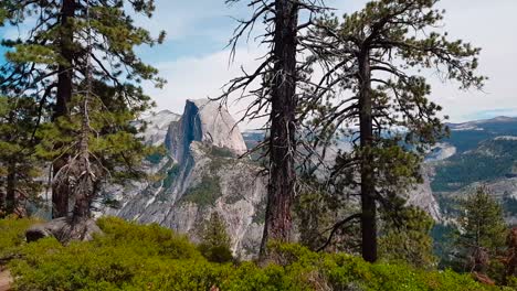 Sideways-stabilized-moving-shot-of-Half-Dome-in-the-background-with-trees-moving-in-front-of-it-in-Yosemite-National-Park,-California,-USA
