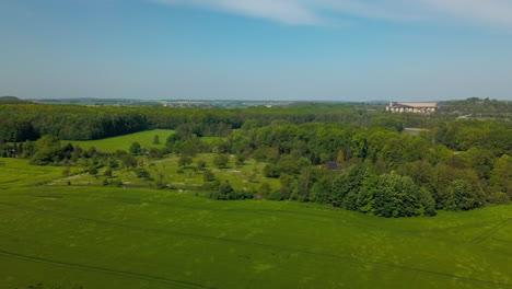 Luftbild-Von-Erntefeldern,-Die-Im-Wind-Wehen,-Mit-Wald-Im-Hintergrund-In-Einer-Ländlichen-Gegend