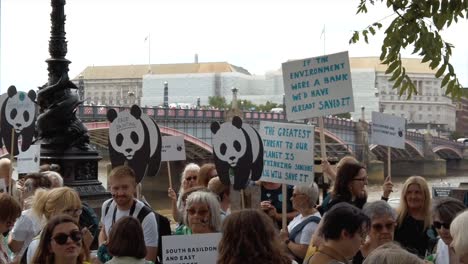 Climate-change-protestors-gather-along-the-Thames-and-outside-Parliament-for-The-Time-is-Now-peaceful-protests