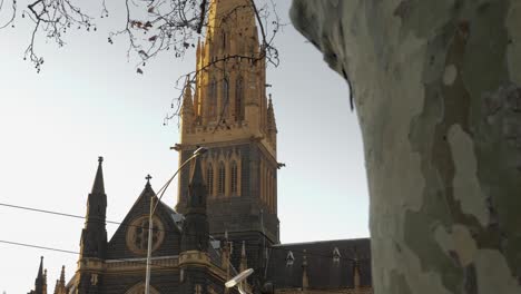 St-Patrick's-Cathedral,-melbourne,-Australia-St-Patrick's-Cathedral-architecture-melbourne-historical-church