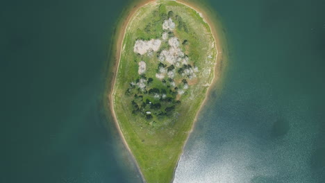 Luftaufnahme-Von-Weißen-Bäumen-Auf-Der-Seeinsel-In-Batak,-Bulgarien