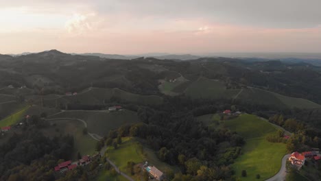 Eine-Professionell-Aussehende-Luftaufnahme-Der-Weinberge-Südösterreichs,-Die-Schnell-über-Die-Wunderschöne-Landschaft-Fliegt