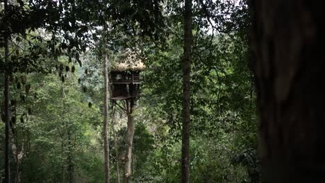 Slomo-Enthüllt-Ein-Großes-Dschungel-Baumhaus-Aus-Der-Gibbon-Erfahrung-In-Laos