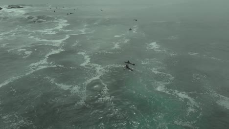Aerial-view-of-Surfers-swimming-on-the-sea-at-Pichilemu,-Chile-4K