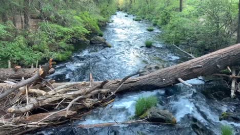 The-Falls-Loops-trail-at-Burney-Falls-National-Park-in-Shasta-County,-California
