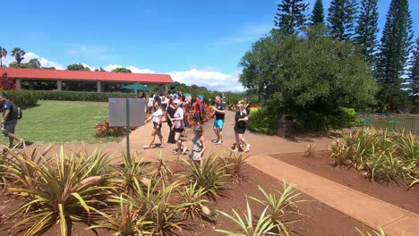 People-visiting-Dole-Plantation-in-Honolulu,-Hawaii-and-looking-the-plants