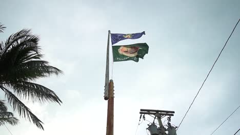 Low-Angle-Shot-of-Flagpole-With-Key-West,-and-Conch-Republic-Flag-Waving-on-a-Cloudy-Day-With-Transformer-and-Power-Lines-in-Background