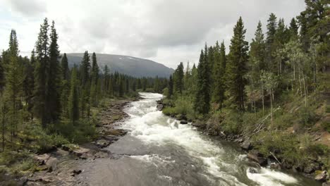 Aerial-footage-of-a-remote-rapid-river-flying-up-the-river-through-the-trees-to-reveal-mountains-in-the-background