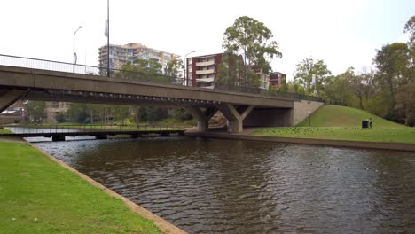Calming-view-of-a-little-canal-with-birds-under-the-bridge-in-the-park-with-the-green-grass