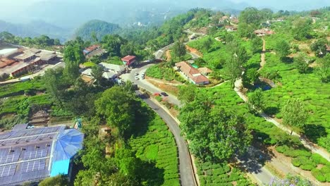 Teeplantage-In-Indien-Munnar-Asien-Abseits-Der-Straße-Luftaufnahme-Grünlich