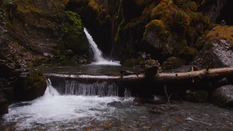 Sehr-Breite-Aufnahme-Von-Jungfräulichen-Wasserfällen,-Die-über-Moosbedeckte-Felsformationen-Stürzen,-Wobei-Ein-Jungfräulicher-Bach-über-Einen-Umgestürzten-Baumzweig-Im-Vordergrund-Im-Chugach-National-Forest-In-Girdwood,-Alaska,-Fließt