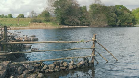Hand-built-fencing-by-river-shoreline-wilderness