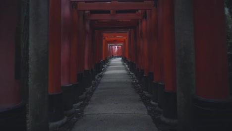 Walking-Through-The-Red-Torii-Gates-Of-The-Famous-Fushimi-Inari-Shrine-In-Kyoto,-Japan
