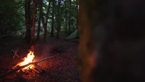 Two-tents-at-night-in-the-woods-with-campfire-burning,-revealing-dolly-slider-shot