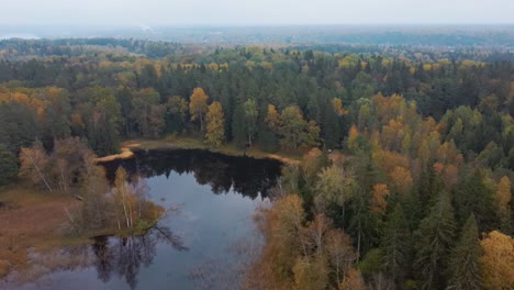 Vista-Aérea-Del-Bosque-De-Copas-De-árboles-De-Coníferas-De-Pino-Verde-Y-Abeto-Y-El-Lago-Kalnmuiza-En-Letonia