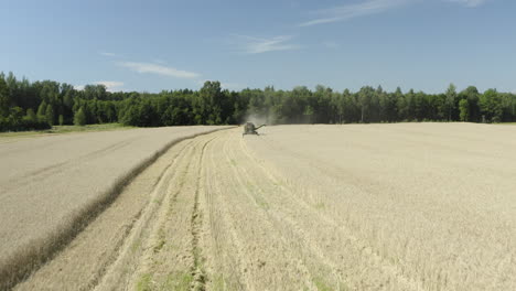 Combine-harvester-harvests-rye-in-sunny-field,-tracking-drone-shot
