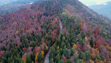 Aerial-view-of-mountains-and-colorful-trees