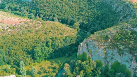 Drone-footage-over-green-forest-surrounded-by-rocks-with-river-passing-through