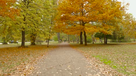 Frau,-Die-Im-Park-Unter-Bunten-Herbstbäumen-Und-Fallenden-Blättern-Spazieren-Geht