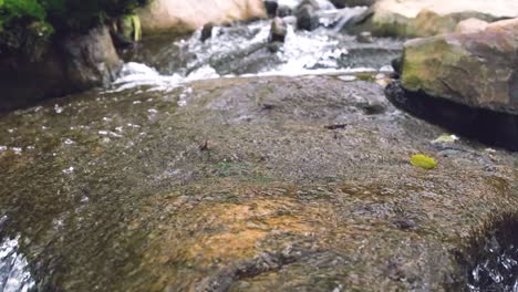Ruhige-Wasserfälle,-Aufgenommen-In-10-facher-Zeitlupe,-Während-Das-Wasser-über-Die-Felsige-Oberfläche-Fließt