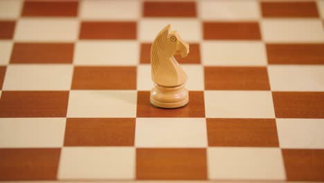 The-knight-is-the-most-unpredictable-piece-in-the-game-of-chess