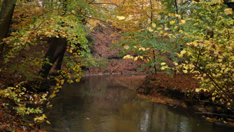 Herbstfluss-Im-Wald