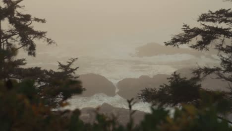 Beautiful-Overlook-View-of-Ucluelet-Peninsula-on-a-Foggy-Morning