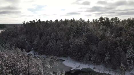 aerial-fresh-snow-covered-trees-by-river