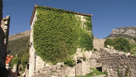 The-old-building-is-overgrown-with-greenery