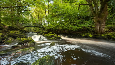 Panorama-Zeitraffer-Des-Wasserfalls-Im-Frühlingswaldpark,-Umgeben-Von-Bäumen-Mit-Felsen-Und-Einer-Fußgängerbrücke-Im-Vordergrund-In-Der-Ländlichen-Landschaft-Irlands