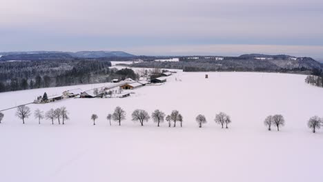 Wonderful-winter-day---flight-trough-a-snowy-landscape-with-a-wide-field-and-a-left-sided-farm-behind-a-snow-covered-street-with-a-row-of-bare-trees
