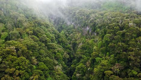 Foggy-Rainforest-Jungle-Mountain-Landscape-in-Panama,-Aerial