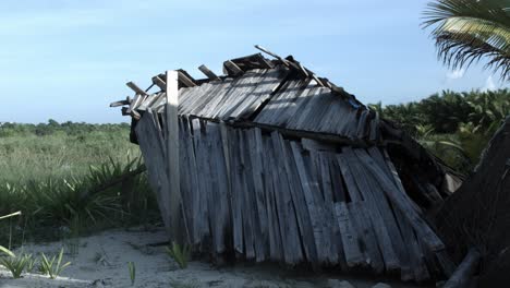 Verlassene,-Eingestürzte-Holzhütte