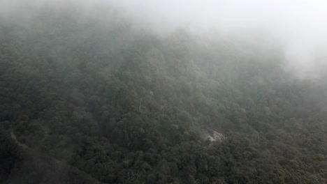 Drone-flying-in-the-clouds-over-the-rainforest-in-Java,-Indonesia