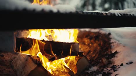 fire-in-firepit-in-middle-of-the-woods-in-winter-in-Lemmenlaakso,-Finland