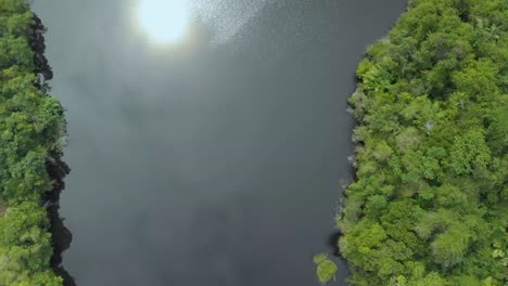 woman-swim-in-black-lake-at-rainforest
