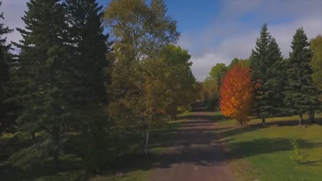 Coloridos-árboles-De-Otoño-En-Minnesota