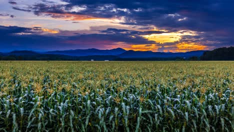 Corn-field-in-Blue-Ridge-Mountains-North-Carolina-time-lapse