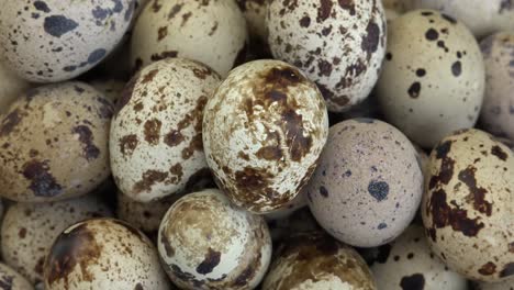 Quail-eggs-are-considered-a-delicacy-in-many-parts-of-the-world,-including-Asia,-Europe,-and-North-America