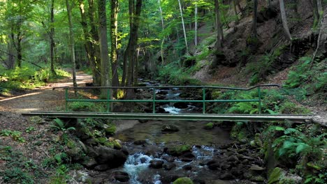 Gebirgsfluss,-Der-über-Felsen-Und-Felsbrocken-Im-Wald-Fließt,-Bistriski-Vintgar-Schlucht-Auf-Pohorje,-Slowenien,-Wander--Und-Outdoor-tourismus-markstein,-ökologie-sauberwasserkonzept,-Natürliche-Ressourcen,-4k-pfanne