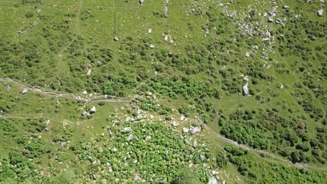 Wide-aerial-birdseye-shot-of-a-rocky-area-surrounded-by-green-bracken-and-grassy-moorland,-Dartmoor,-England,-Wistmans-wood