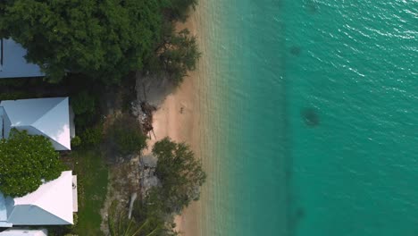Aerial-Flight-above-houses-on-the-beach-with-palm-trees-and-torques-water